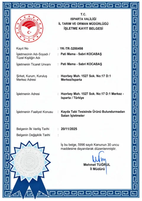 İşletme kayıt belgesi önizlemesi