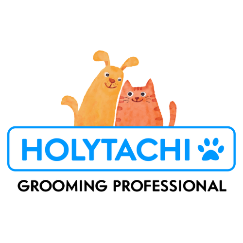 Holytachi logosu