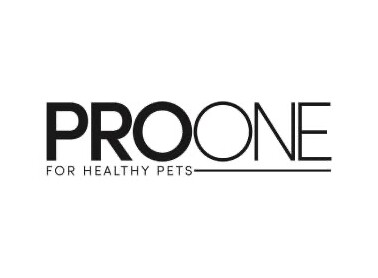 ProOne logosu
