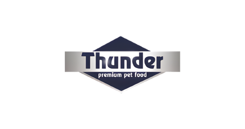 Thunder logosu