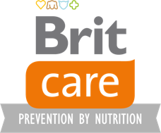 Brit Care logosu