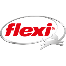 Flexi logosu